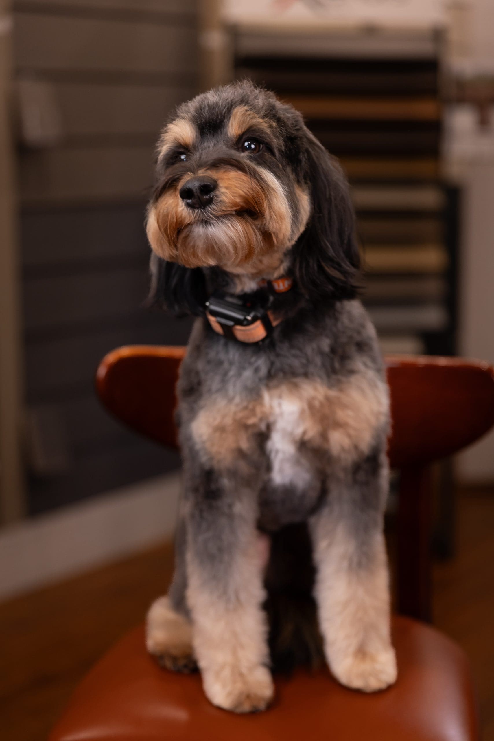 Bowie